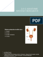 Lo 2 Anatomi Sistem Urinarius