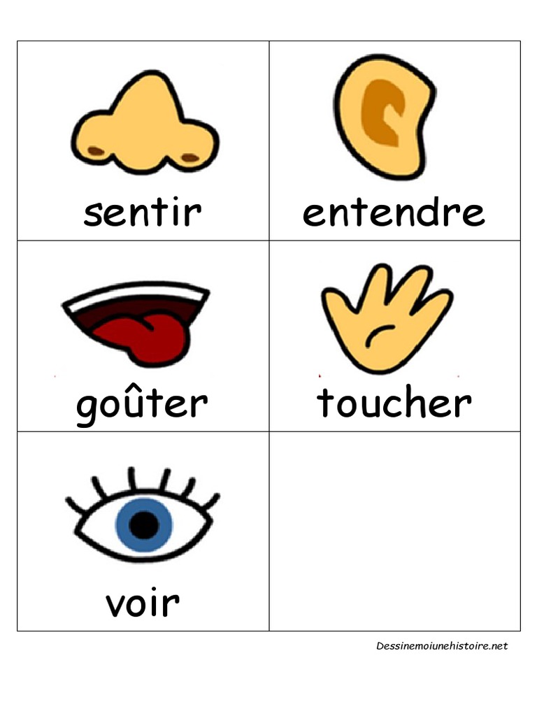 Activités sensorielles pour enfants | PDF | Jeux et activités