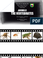The Vertebrates: Animals