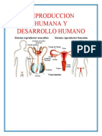 Reproduccion Humana y Desarrollo Humano de Camilo Chocaita Mamani