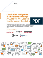 Credit Risk Mitigation in The New Economy