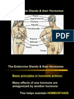 The Endocrine Glands & Their Hormones