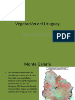 Vegetación_del_Uruguay2