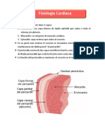 Fisiologia Cardiaca