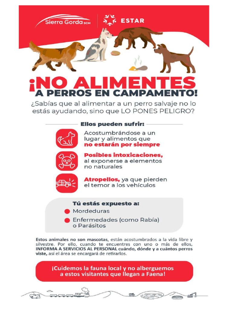 No Alimentes A Los Perros en Campamento | PDF