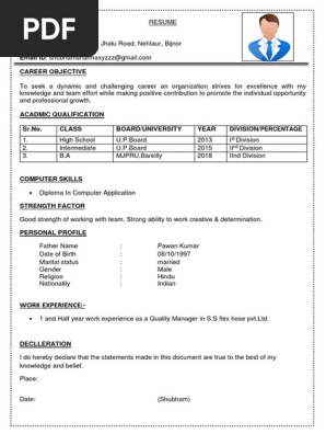 Professional resume