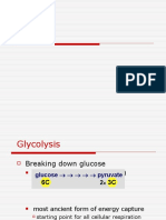 Glucose Presentation