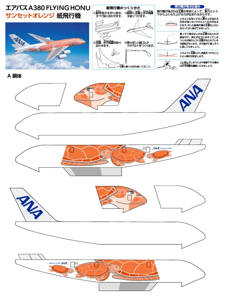 ANA A380 (Orange Turtle Livery) | PDF