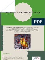 Sistema Cardivascular