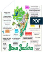 mapa conceitual biomas