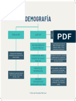 Mapa Conceptual Demografia