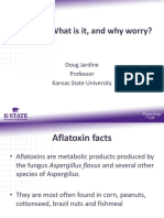 Aflatoxin Tests