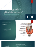 Fisiologia Tiroides