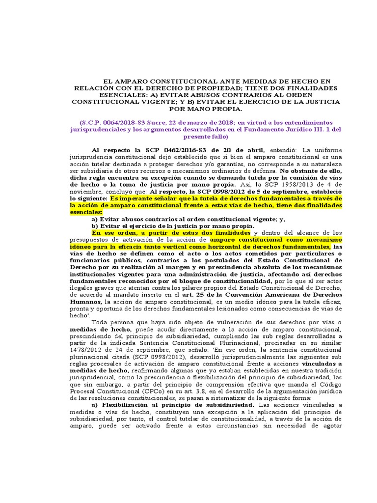 Amparo Constitucional y Medidas de Hecho | PDF | Caso de ley | Derecho ...