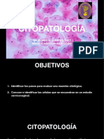 Evaluación de muestras citológicas y células en citología cervicovaginal