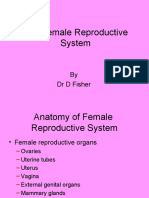 The Female Reproductive System: by DR D Fisher