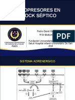 Vasopresores en Shock Séptico