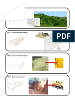 Isom Simplificada Orientista em Foco PDF Geral PDF