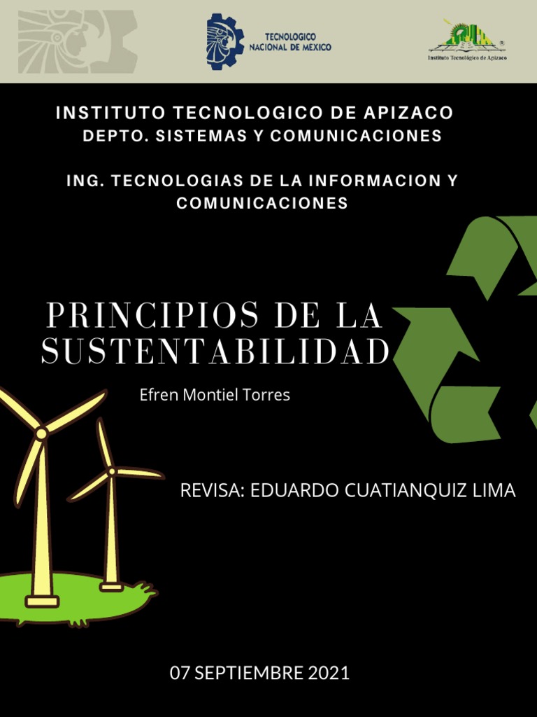 Principios de la Sustentabilidad | PDF | Sustentabilidad | Desarrollo ...