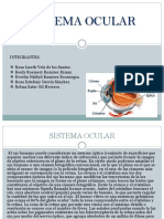 Sistema Ocular Exposicion