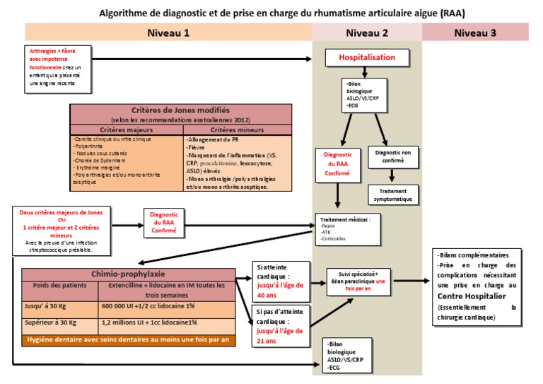 Algorithme de diagnostic du RAA | PDF | Soins de santé | Santé publique