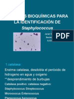 78 PRUEBAS BIOQUÍMICAS PARA LA IDENTIFICACIÓN DE Staphylococcu