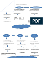 Estructura Basica de Un Proceso Civil