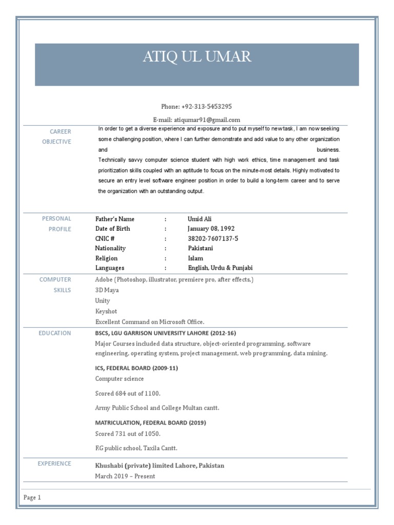 Entry-Level Software Engineer Resume | PDF | Computing