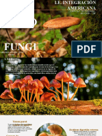 Reino Fungi-Expo Piero
