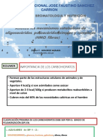 CLASE 08. Metabolismo de Arbohidratos. HMO, Fibras