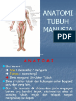 Anatomi 130907072744