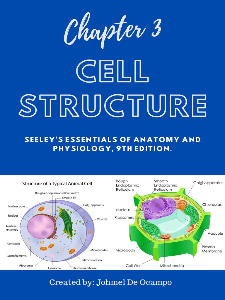 Anatomy Physiology Chapter 3 Cell Structure | Download Free PDF ...