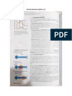 Sistema Nervioso Central S Tarea