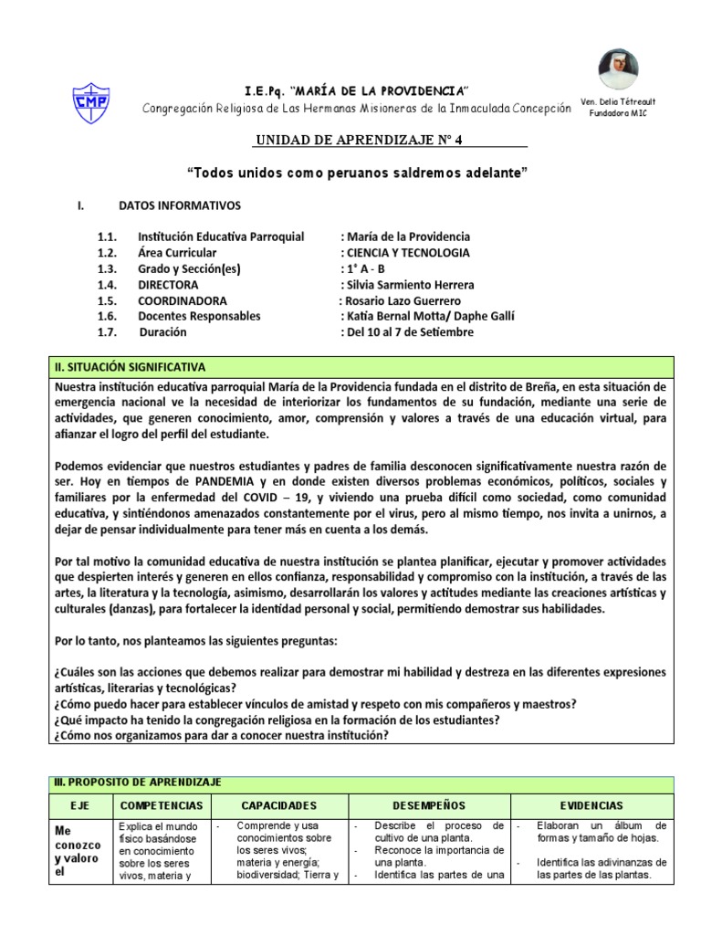 Ciencia y Tecnología: Unidad 4 Primer Grado | PDF | Plantas | Universo
