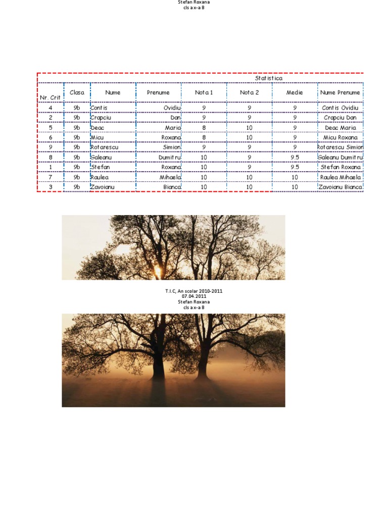 Grade Statistics for Class 9B | PDF