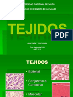 TEJIDOS (Anatomia)