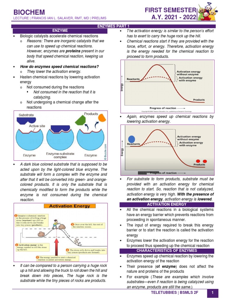Lecture 5 - Enzymes Part 1 | PDF | Enzyme | Active Site