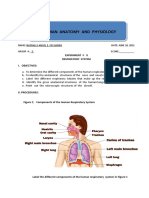 Human Anatomy and Physiology: Experiment # 9 Respiratory System I. Objectives
