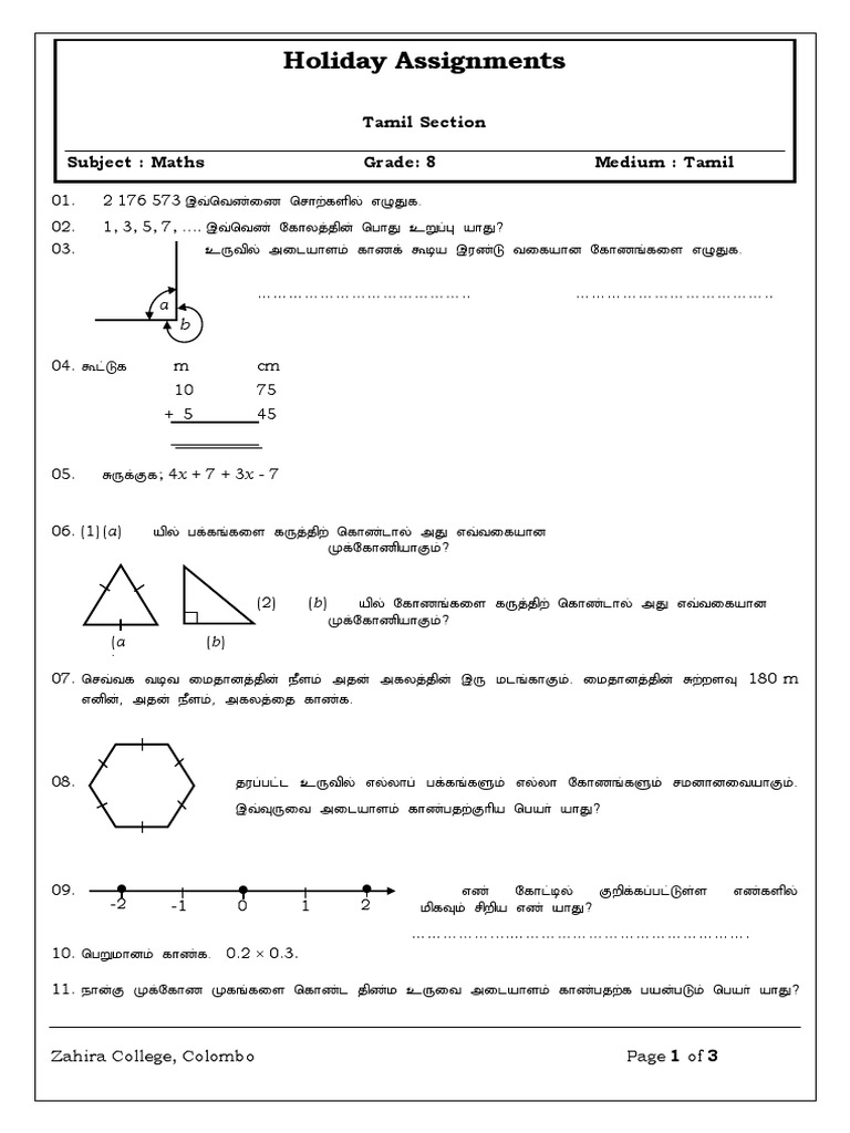 Grade 8 Tamil Maths Holiday Assignment | PDF | History
