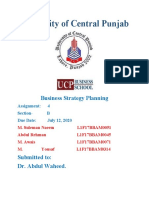 University of Central Punjab: Business Strategy Planning