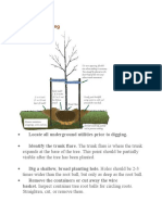 Steps For Planting