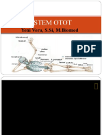 Sistem Otot