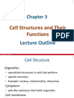 Ch3 Lec Notes