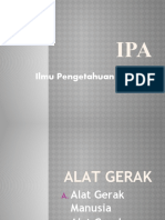 Ipa Organ Gerak 11