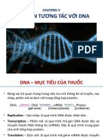 Tác Nhân Tương Tác V I Dna