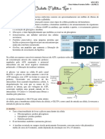 Diabetes Mellitus Tipo 1: Sinais, Causas e Tratamento