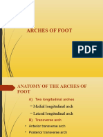 Arches of Foot