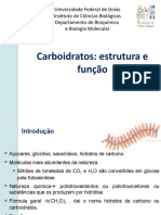 1 Carboidratos - Estrutura