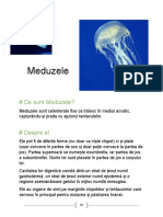 Meduza