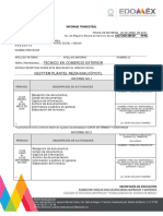 Informe Trimestral-Pre Llenado Comercio Exterior